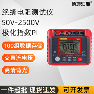 泰圣绝缘电阻测试仪TS58摇表电阻表500V2500V高精度数字兆欧表