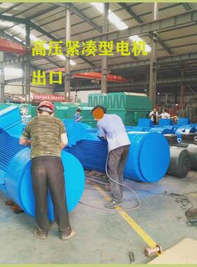 Y2紧凑型高压电机出口450kw6000v三相异步电机交流