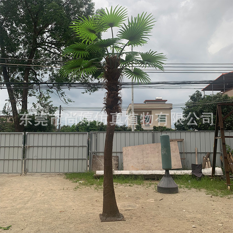 室内仿真棕榈树老人葵树景观仿真植物公园绿化带装饰假棕榈树人造