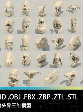 C4D FBX OBJ ZBP ZTL STL怪兽动物头骨头颅骨骼三维打印模型设计