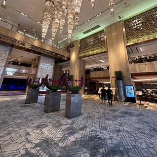 喜来登酒店宴会厅厂家直销商用地毯满铺走道阻燃尼龙印花地毯全铺