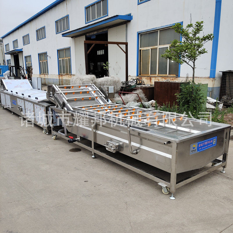 热销蔬菜清洗漂烫冷却桑芽菜清洗漂烫机流水线全套桑芽菜加工设备,清洗/食品/商业设备,果蔬加工设备,淘宝优惠券,粉丝福利购,淘宝优惠卷