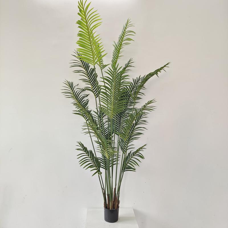 凤尾葵现货假绿植盆栽摆件家居饰品加密仿真贵妃葵散尾葵装饰