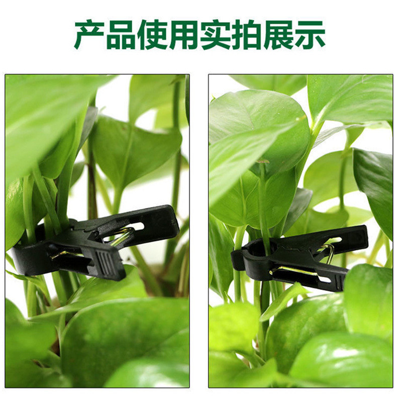 吊秧夹豆角西红柿夹子园艺工具大棚黄瓜夹子西葫芦夹子塑料吊蔓夹