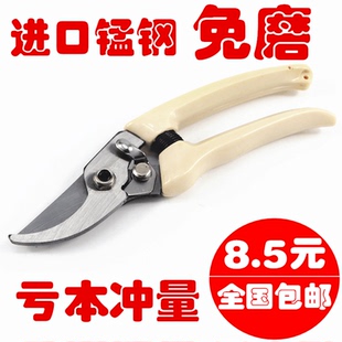 花艺修花修枝剪刀粗枝剪修花树枝果树修剪园林摘水果工具园艺神器