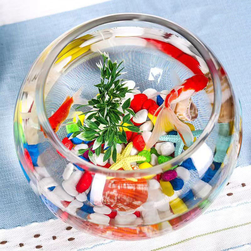 多肉玻璃鱼缸创意礼品苔藓微景观生态瓶三足三脚生态瓶玻璃鱼缸