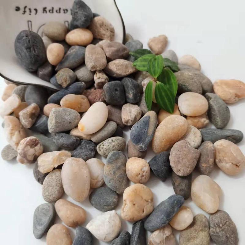 溪流沙豆石石鱼缸底砂造景底沙雨林沙石水培头大叽沙原生溪流石