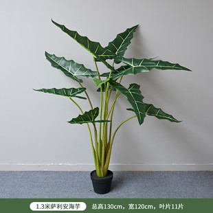 仿真萨利安海芋北欧风家居摆件橱窗装饰大型室内植物落地商场盆栽