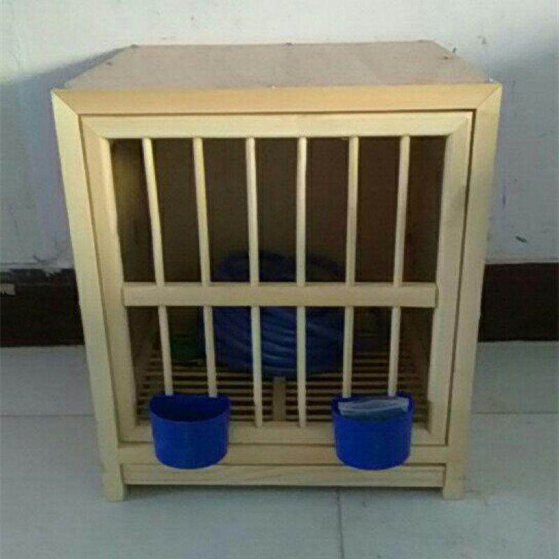 鸽具鸽笼鸽子配对笼实木信鸽箱鸽子养殖笼巢种鸽配对笼鸽用品