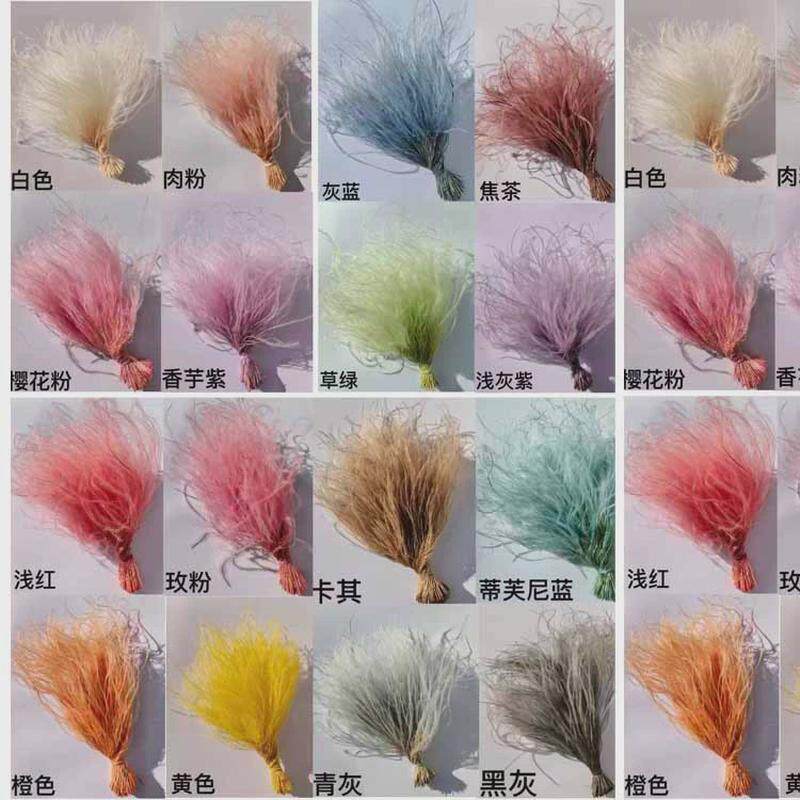 【羽毛草】大把小花束配材柔丝浪漫材l草干花花草羽毛草