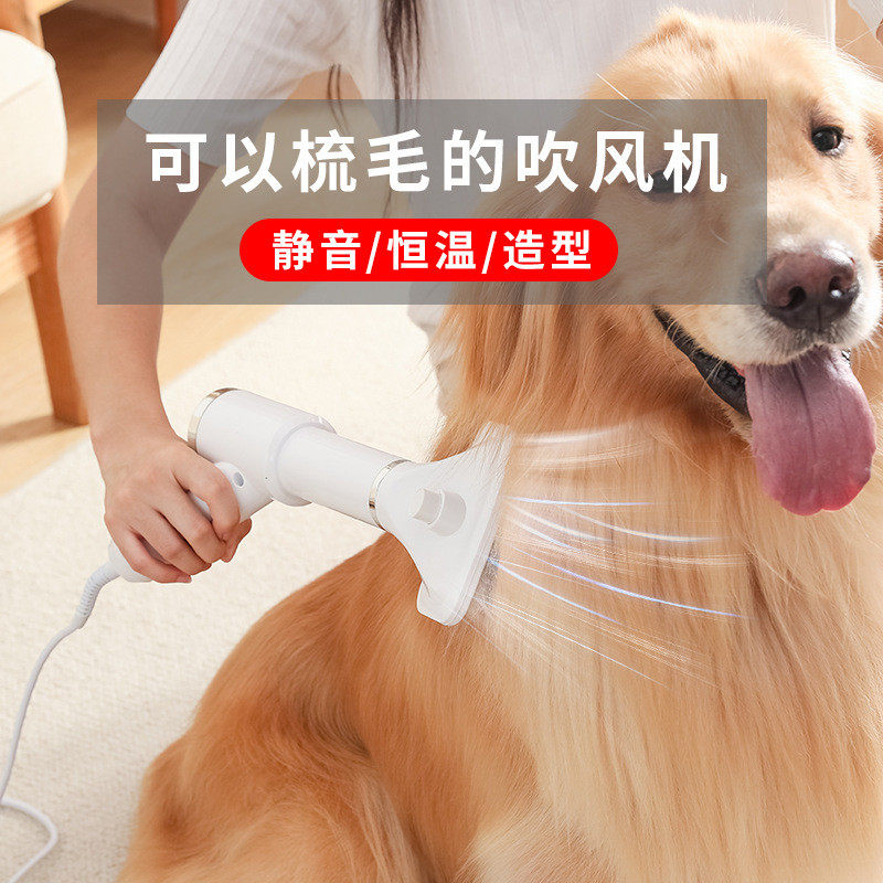 电动吹风梳吹水机吹风机狗狗猫咪电吹风宠物清洁美容梳子热风