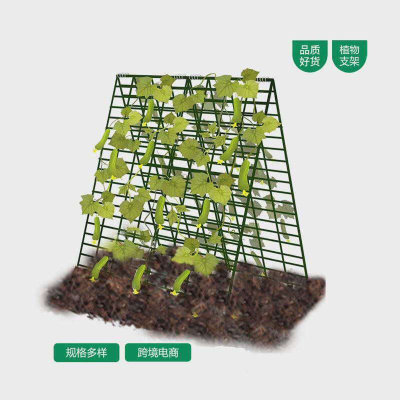 黄瓜架菜地支架植物黄瓜架豆角架攀爬支架种植葡萄爬藤架