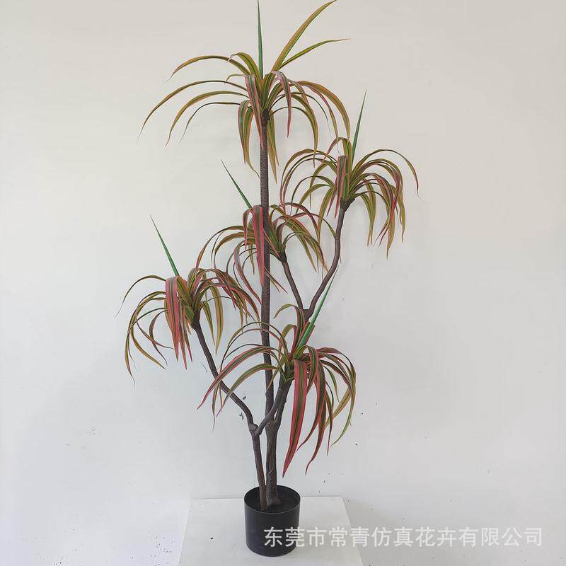 ins风格仿真绿植盆栽家居落地饰品摆件铁树仿真巴西铁龙血秋色