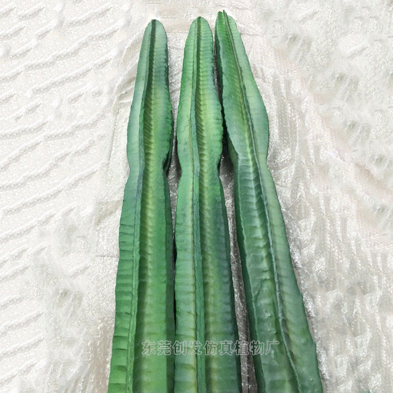 定制仿真仙人掌假仙人植物盆栽多肉棒室内软装绿植pu树量天尺