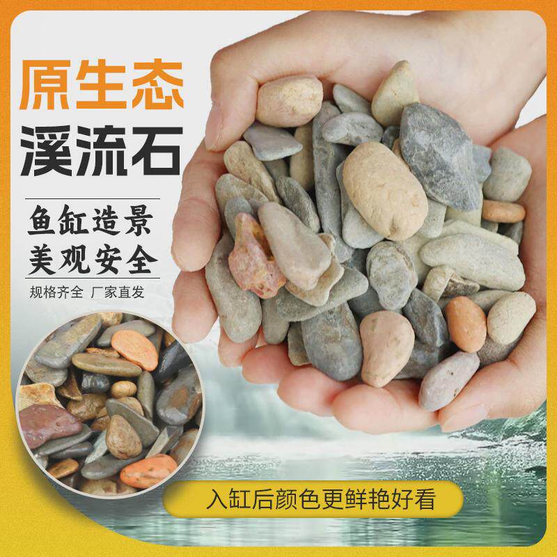 小石鱼缸水族箱铺底砂造景原生溪流石思博子花盆栽天然鹅卵石庭院