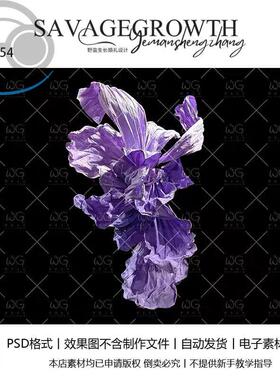野蛮生长a454紫色纸艺花艺纸造型小众纸花婚礼免抠素材无分层