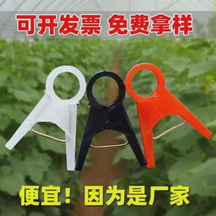植物夹/吊秧夹子/塑料绑蔓夹/绑枝蔓/吊夹夹/扶蔓夹/藤蔓固定夹子