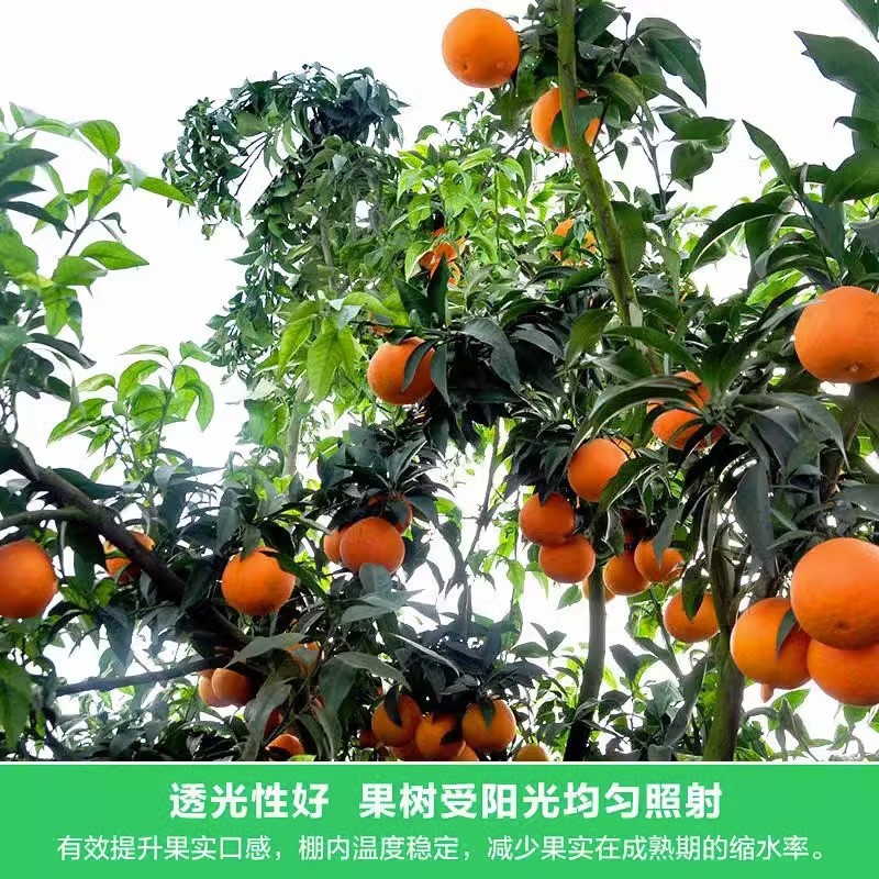 果树防寒布橘子树透光柑防霜布宽6.4米沃防冻保温防水柑橘防寒