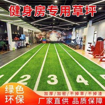 室内健身房人造草坪白色跑道刻度线跑道人工草皮私教运动地毯仿真