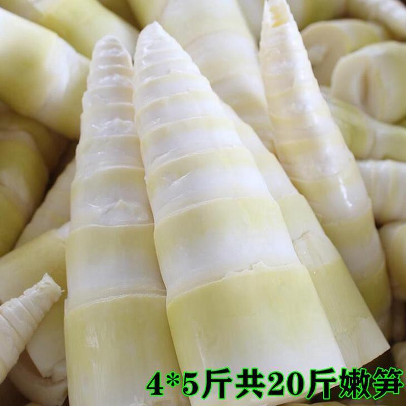 冬笋水煮新鲜20斤装现挖农家蔬菜嫩竹笋块笋尖切笋丝当季整箱包邮