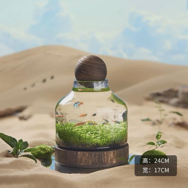 厂直销生态瓶鱼玻璃鱼缸微景观鱼虾水草自循环办公室迷你植物花瓶