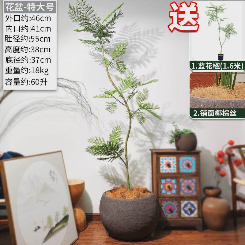 特大口径黑陶紫砂粗陶花盆户外庭院素烧陶瓷陶罐阳台鱼缸养鱼摆件,鲜花速递/花卉仿真/绿植园艺,花盆,淘宝优惠券,粉丝福利购,淘宝优惠卷