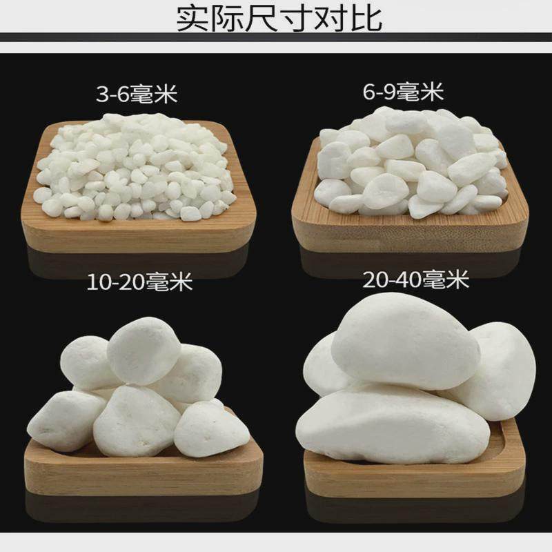 白色抛光鹅卵石鱼缸庭院白石子盆栽铺地小白石头洗米石白色