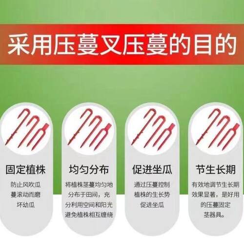 草莓叉子育苗压蔓器压叉苗藤蔓植物固定器塑料加长圆口叉生根定植