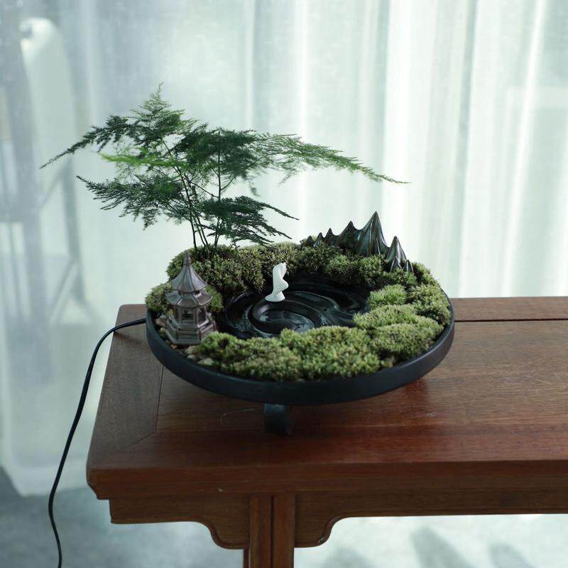 文竹苔藓水培微景观菖蒲盆景绿植禅意摆件办公室桌面乌金石吸水石