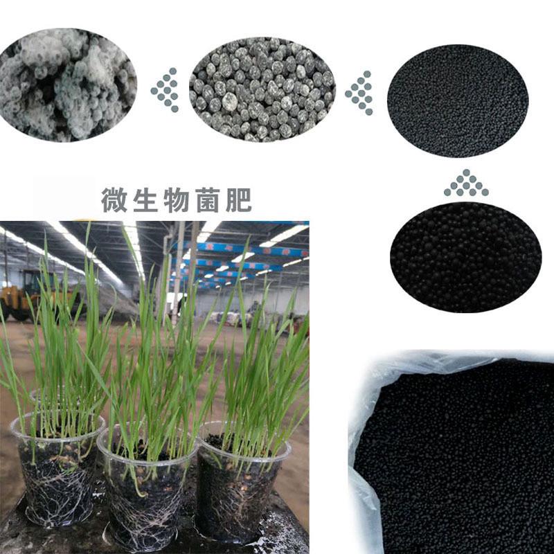 微生物高60有机质微生物菌肥5亿菌菌剂活菌有机肥