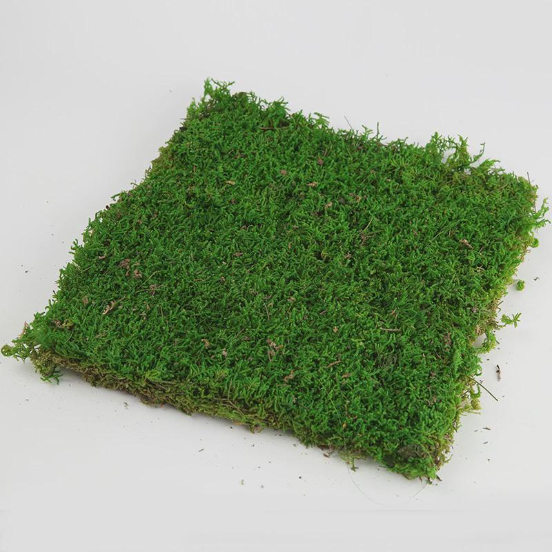 永生大灰藓仿真草坪地毯绿植墙庭院铺面diy建设园林微景观东南亚