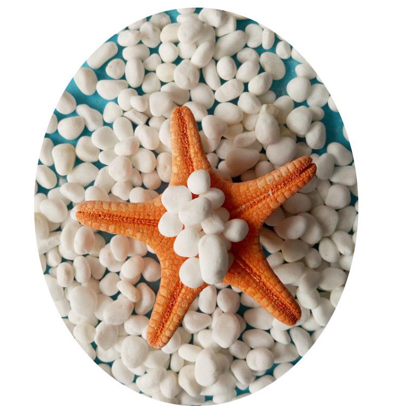 白色鹅卵石庭院白色白石子鱼缸园林造景装饰用铺路石子现货供应