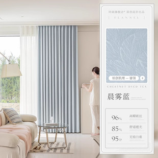 2024新款高精密提花法式窗帘轻奢现代简约客厅遮光高端大气高级感