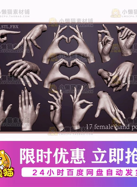 17个ZBrush女性手部手掌手姿势雕刻3D模型ZTL,OBJ,STL,FBX打印
