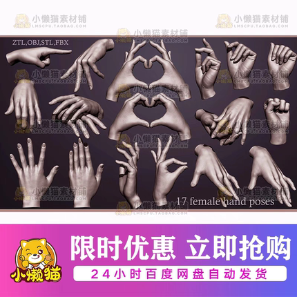 17个ZBrush女性手部手掌手姿势雕刻3D模型ZTL,OBJ,STL,FBX打印