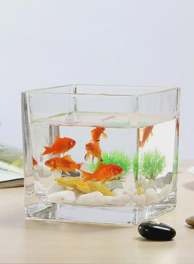 加厚透明水培玻璃方缸花瓶桌面摆件简约鱼缸水养方形铜钱绿萝花瓶