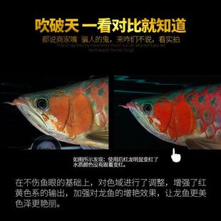 马印色灯三基色水中灯龙鱼灯增神灯水族箱照明led鱼缸灯led
