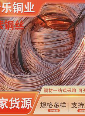 t2紫铜丝现货c10200无氧铜丝t1导电紫铜线裸铜线c1100软态红铜线