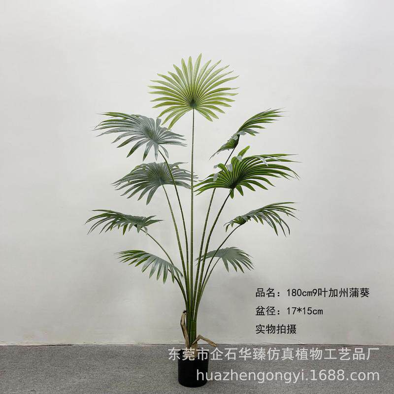 仿真植物盆栽加州仿真蒲葵仿真扇葵家居室内落地装饰唐棕葵圆叶葵