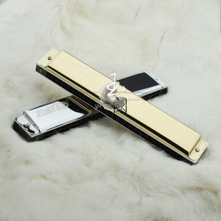 热销只国音簧初学口琴easttop东方2403金色银色7德装