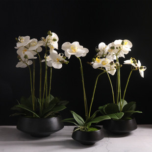饰摆件摆设 手感蝴蝶兰花仿真插花盆栽假花卉客厅茶几餐桌面玄关装