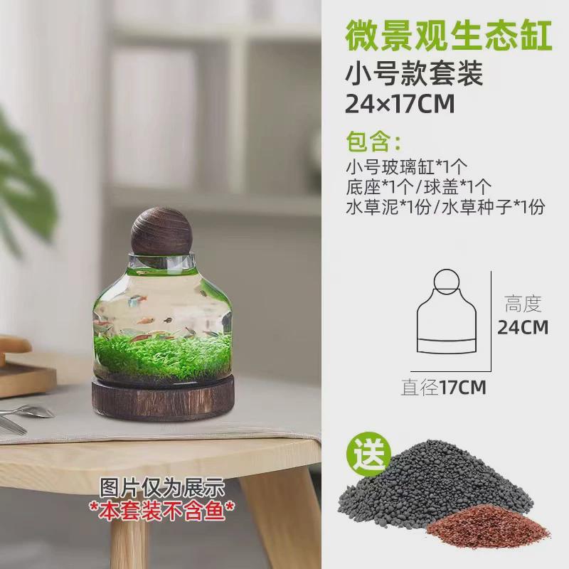 微景观生态瓶玻璃鱼缸创意diy造景鱼虾水草缸日式桌面木托办公室
