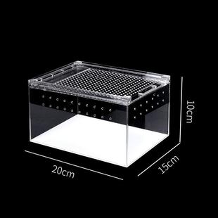 giangarden亚克力蜘蛛爬宠爬虫箱饲养盒角蛙独角仙豹纹守宫饲养箱