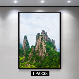 有山无水靠山图装饰画竖版办公室泰山高山大山壁画山峰山脉挂画
