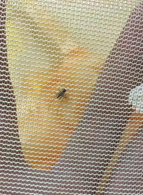 bb4c纱帐结婚蚊帐1米8大床宫廷落地支架批发传统老式加密加厚