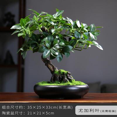 创意中式仿真迎客松盆景摆件客厅家居绿植盆栽桌面室内禅意装饰品