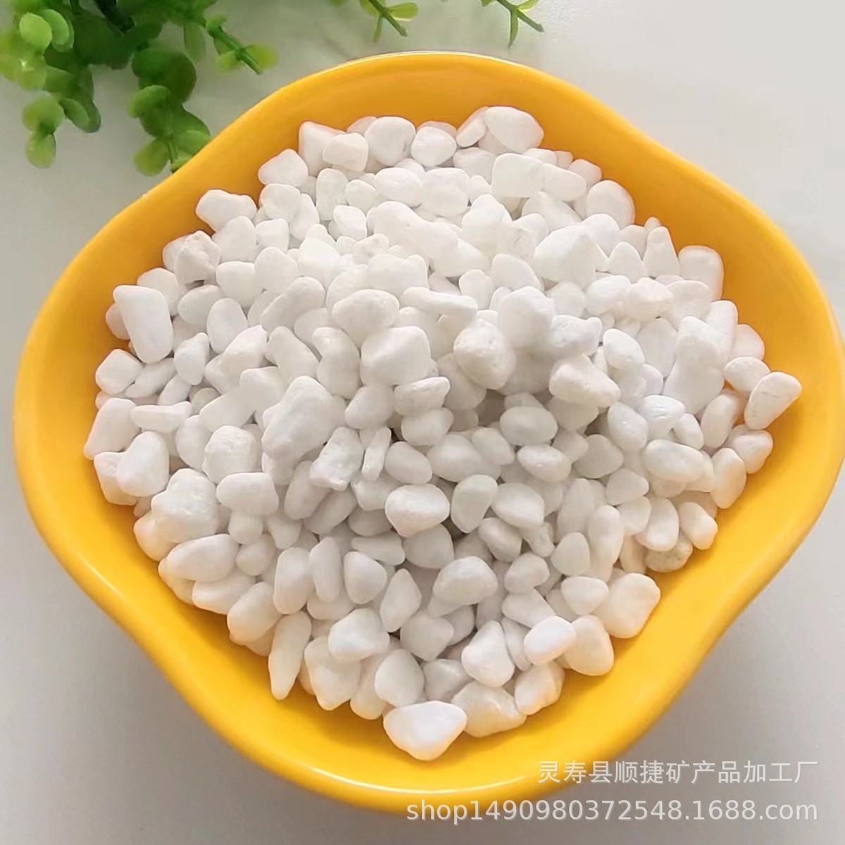 庭院白色石头多肉盆栽铺面小白石子鱼缸造景铺路装饰雨花石鹅卵石