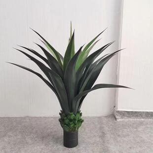 仿真植物龙舌兰剑兰盆栽室内绿植落地大型客厅摆件服装店装饰假树