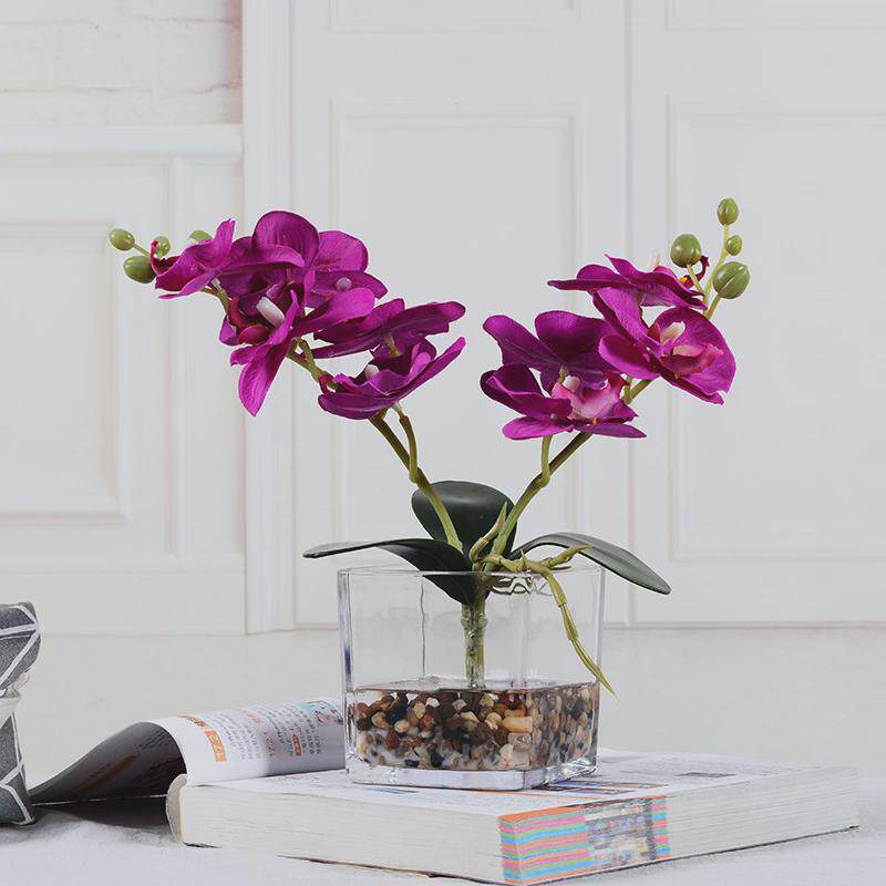小清新玻璃瓶仿真蝴蝶兰假水假花客厅摆件装饰餐桌摆放仿真花盆栽