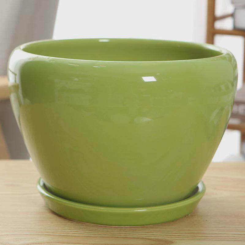 花盆底托盘大号特大号陶瓷简约白色分体带托盘室内桌面型大花盆,鲜花速递/花卉仿真/绿植园艺,花盆,淘宝优惠券,粉丝福利购,淘宝优惠卷